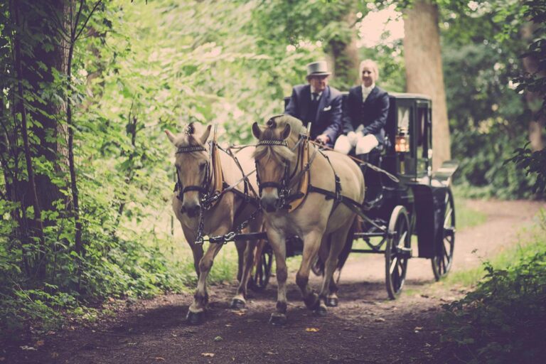 Private Tour in Carrozza