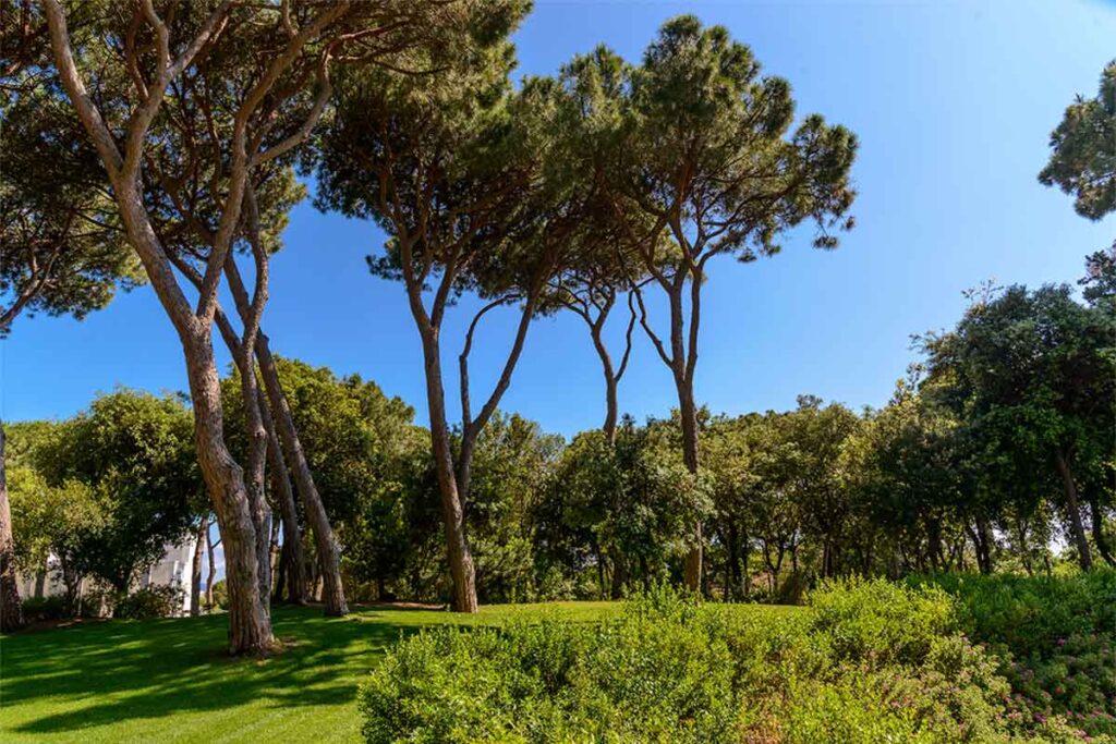 the-sense-eco-hotel-toscana-mare-13