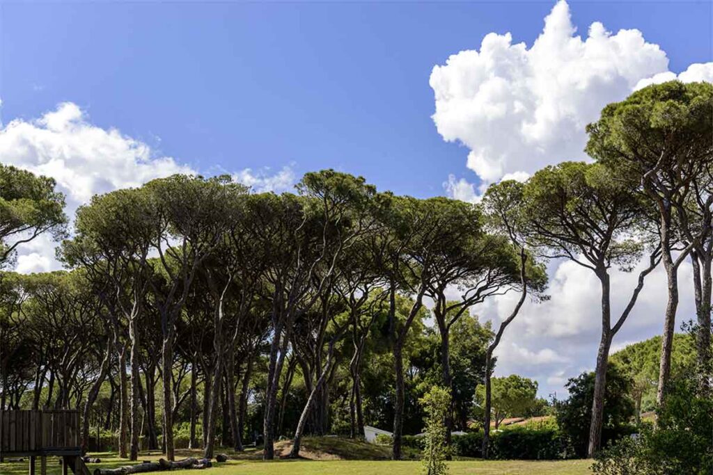 the-sense-eco-hotel-toscana-mare-16