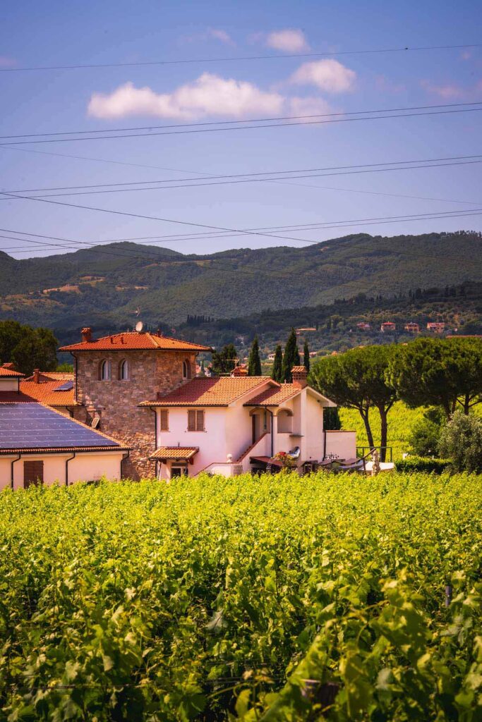 tua-rita-esperienza-the-sense-DSC_9931